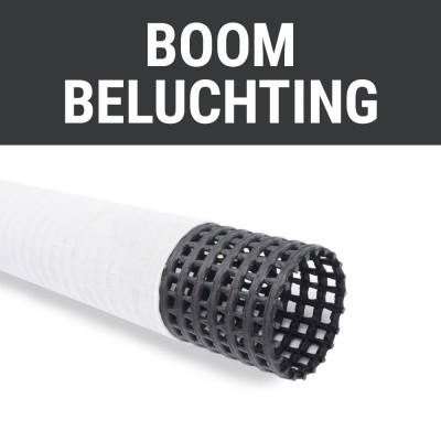 Boombeluchting